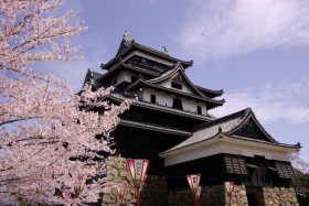 Matsue CastlePhoto