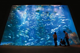 男鹿水族館GAO写真