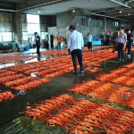 Shinminato Fishing Port Afternoon Auction Photo