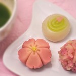 Kyogashi (Confectionery)