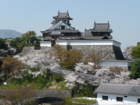 Fukuchiyama CastlePhoto