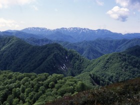 白神山地　世界自然遺産写真