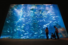 Oga Aquarium GAO Photo