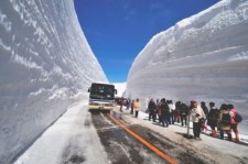 Snow Wall Walk(Yuki-no-Otani Walk) 2015 Photo