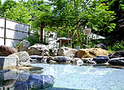 Enjoy Asarigawa Onsen Spa and fresh seafood Photo