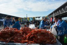 Sakaiminato Fisheries Festival Photo