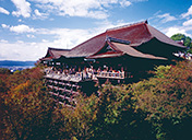 京文化に触れる石畳散策と清水寺観光写真